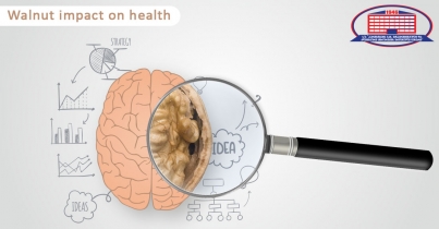 Did you know that walnut cotyledon has the shape of the brain ?!