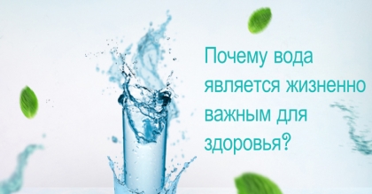 Почему вода является жизненно необходимой для здоровья? 