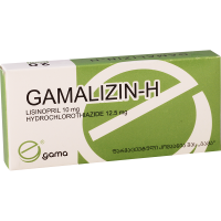 Gamalizin H 10mg/12.5mg #20t