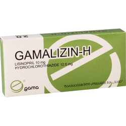 Gamalizin H 10mg/12.5mg #20t