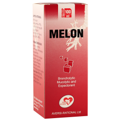 Melon 100ml syrup fl