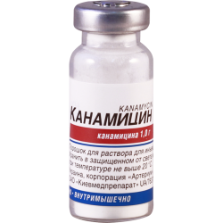 Kanamycin sulfate 1g #1fl