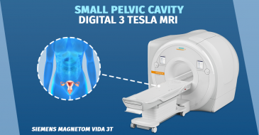 Magnetic resonance imaging of the small pelvic cavity