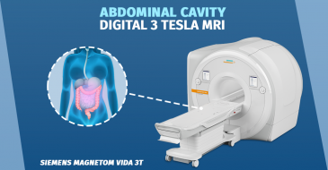 Magnetic resonance imaging of the abdominal cavity