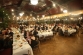 slider-image-450