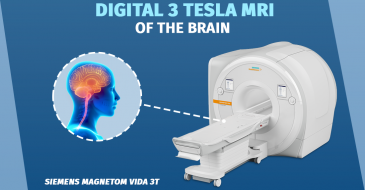 Brain magnetic resonance imaging