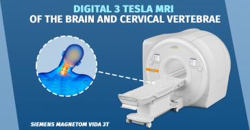 Magnetic resonance imaging of the brain and cervical vertebrae