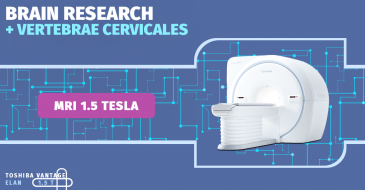 Magnetic resonance imaging of the brain and neck