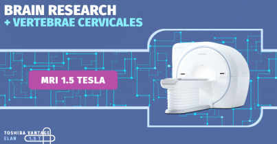 Magnetic resonance imaging of the brain and neck