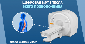 Магнитно-резонансная томография всего позвоночника