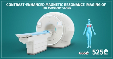 The Mammary Gland Magnetic Resonance Imaging