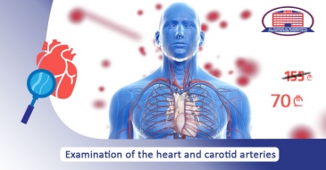 Examination of heart and carotid arteries