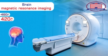 Magnetic-Resonance Imaging Of The Brain