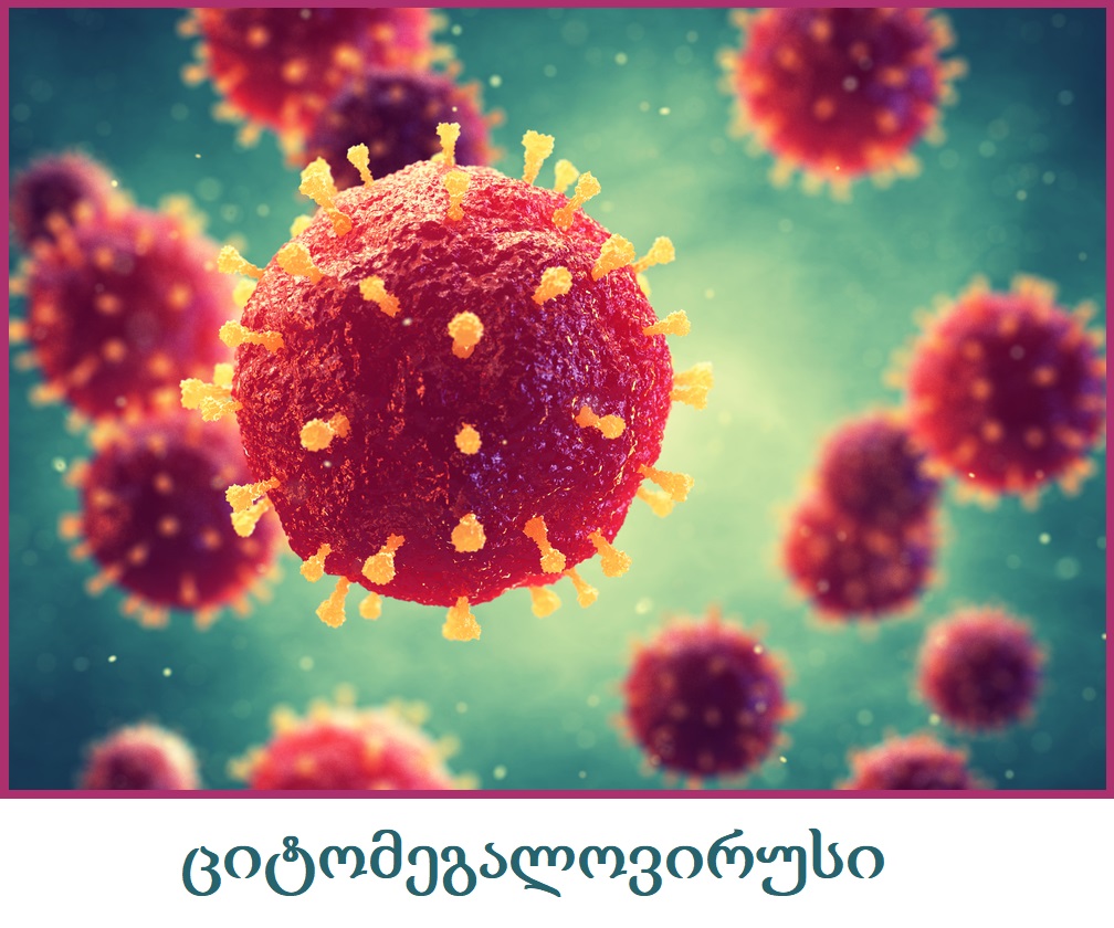 citomegalovirusi