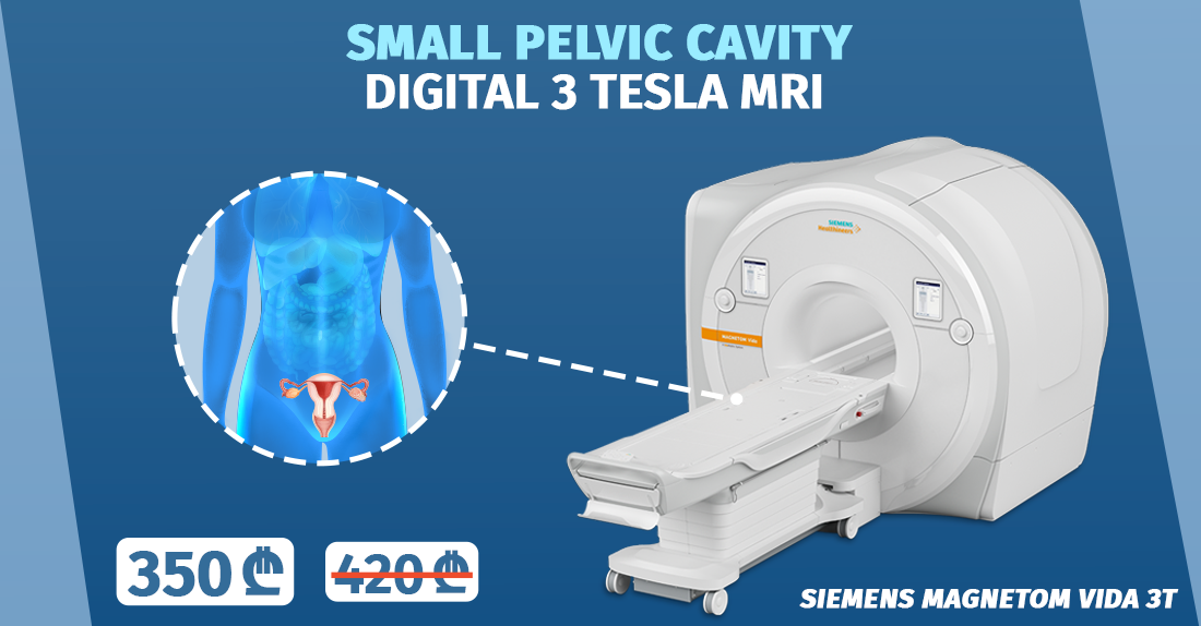 Magnetic resonance imaging of the small pelvic cavity - National ...