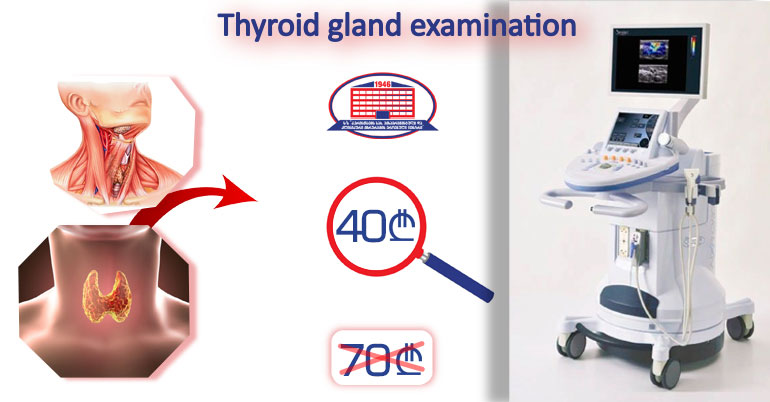 Thyroid gland examination with ultrasound elastography for 40 Gel
