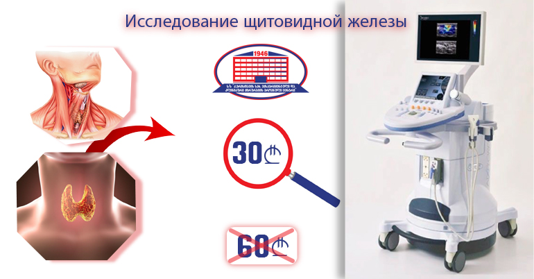 Ультразвуковая эластография щитовидной железы за 30 лари