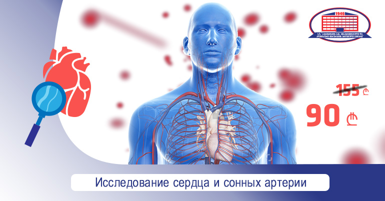 Исследование сердца и сонных артерий