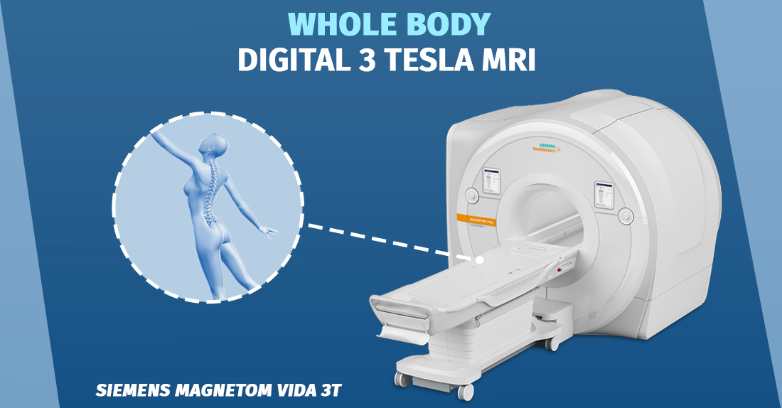 Whole body magnetic resonance imaging